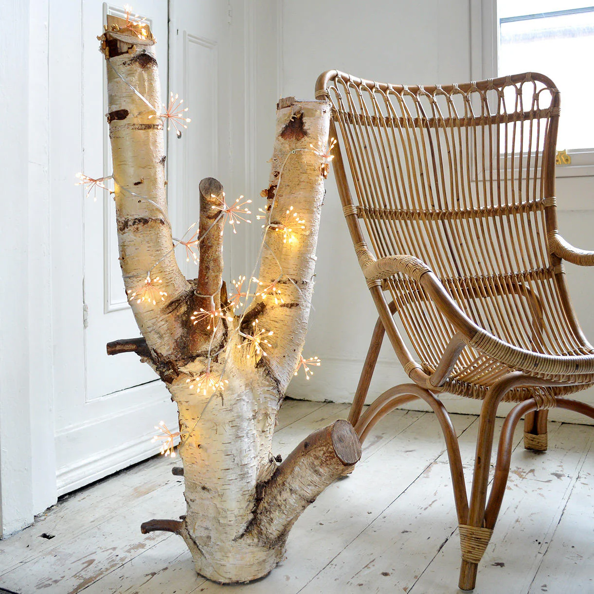 Allium Starburst Mains String Lights - Image 3