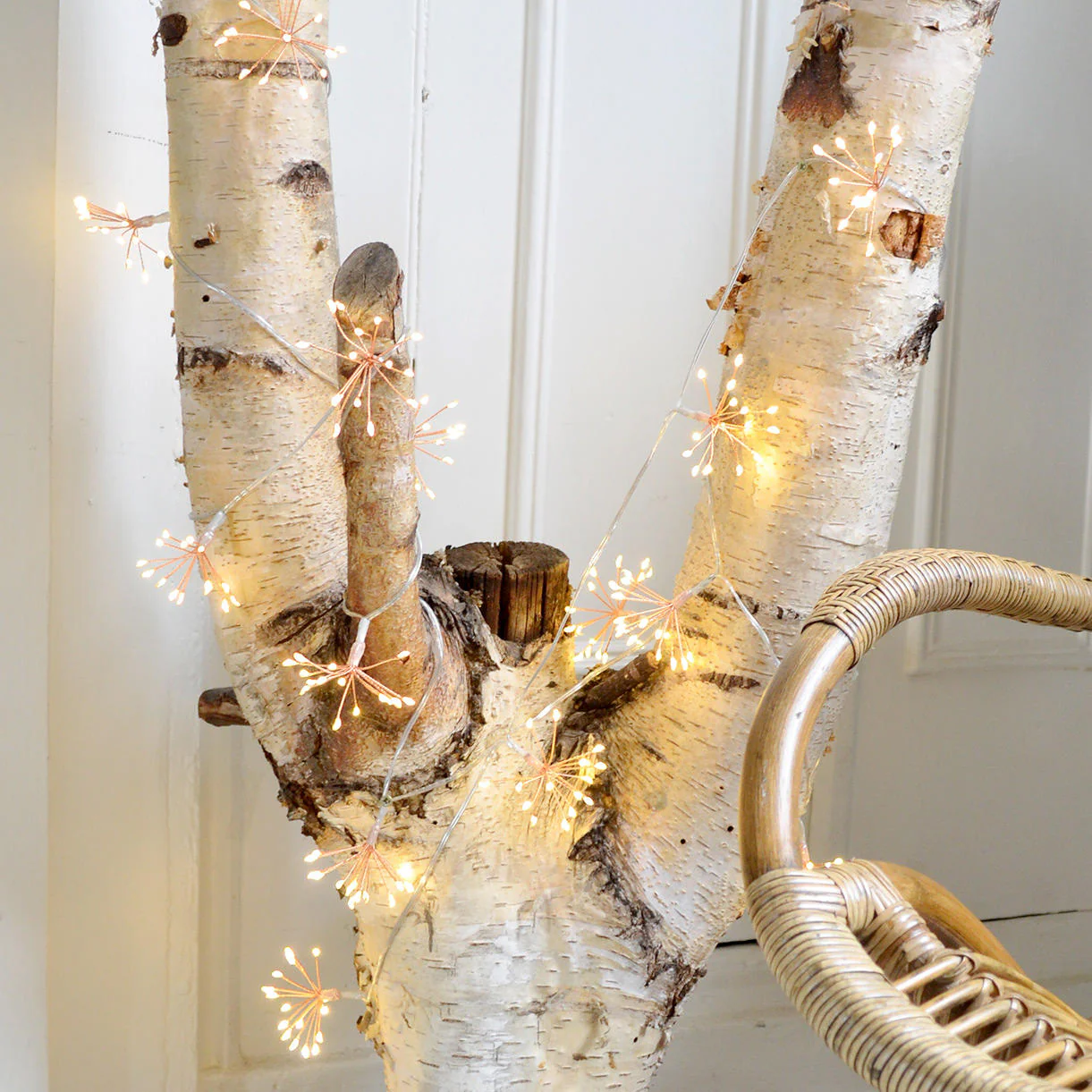 Allium Starburst Mains String Lights - Image 4