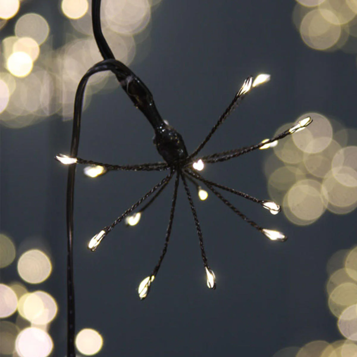 Allium Starburst Mains String Lights - Image 5