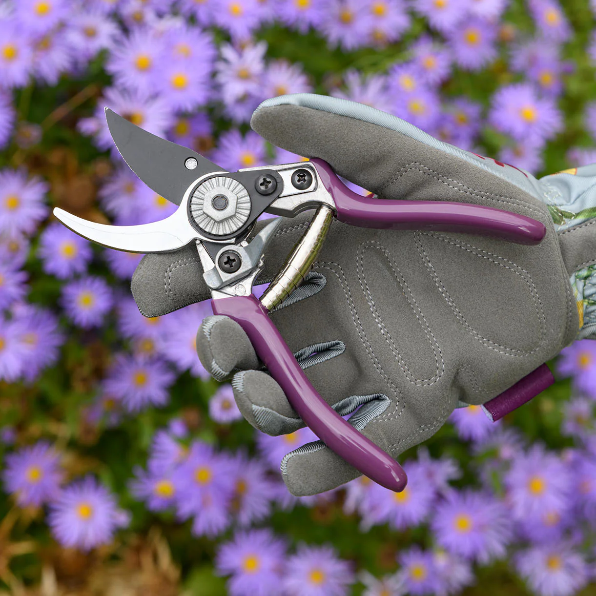 Aster Pruner and Holster Gift Set - Image 3