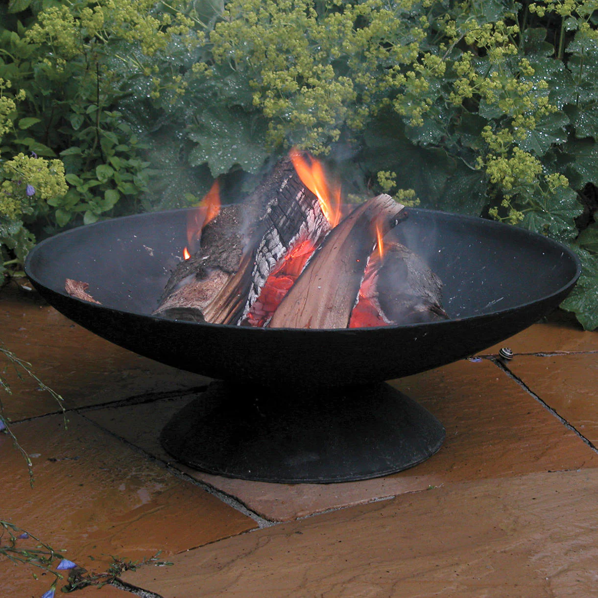Cast Iron Firepit - Image 4