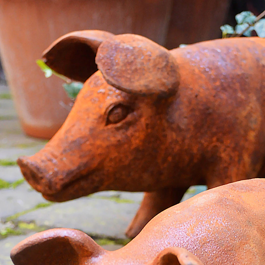 Cast Iron Pigs - Image 3