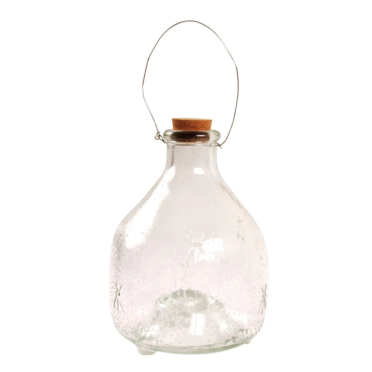 Clear Glass Wasp Catcher - Image 4