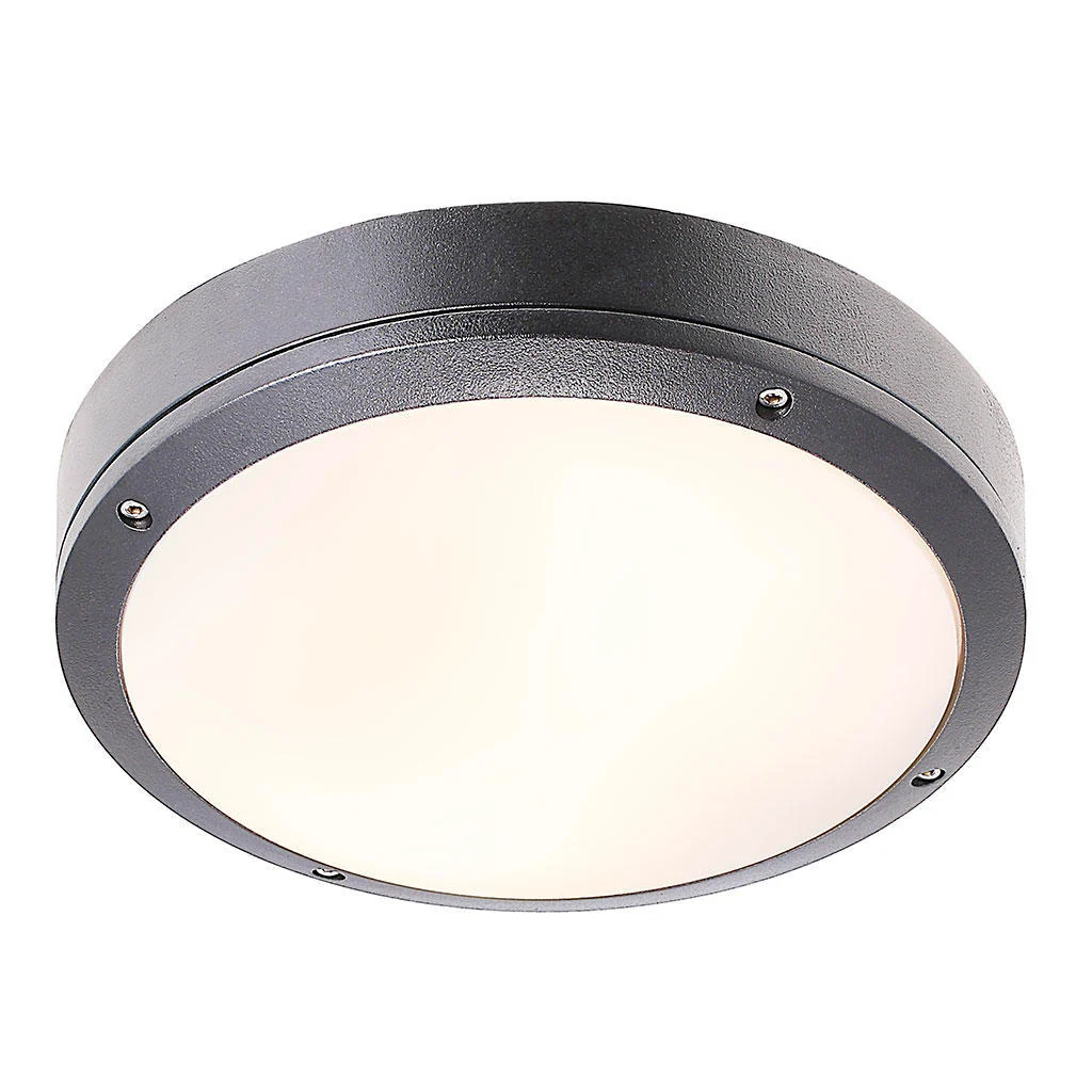 Desi Outdoor Ceiling/Wall Lighting - Image 4