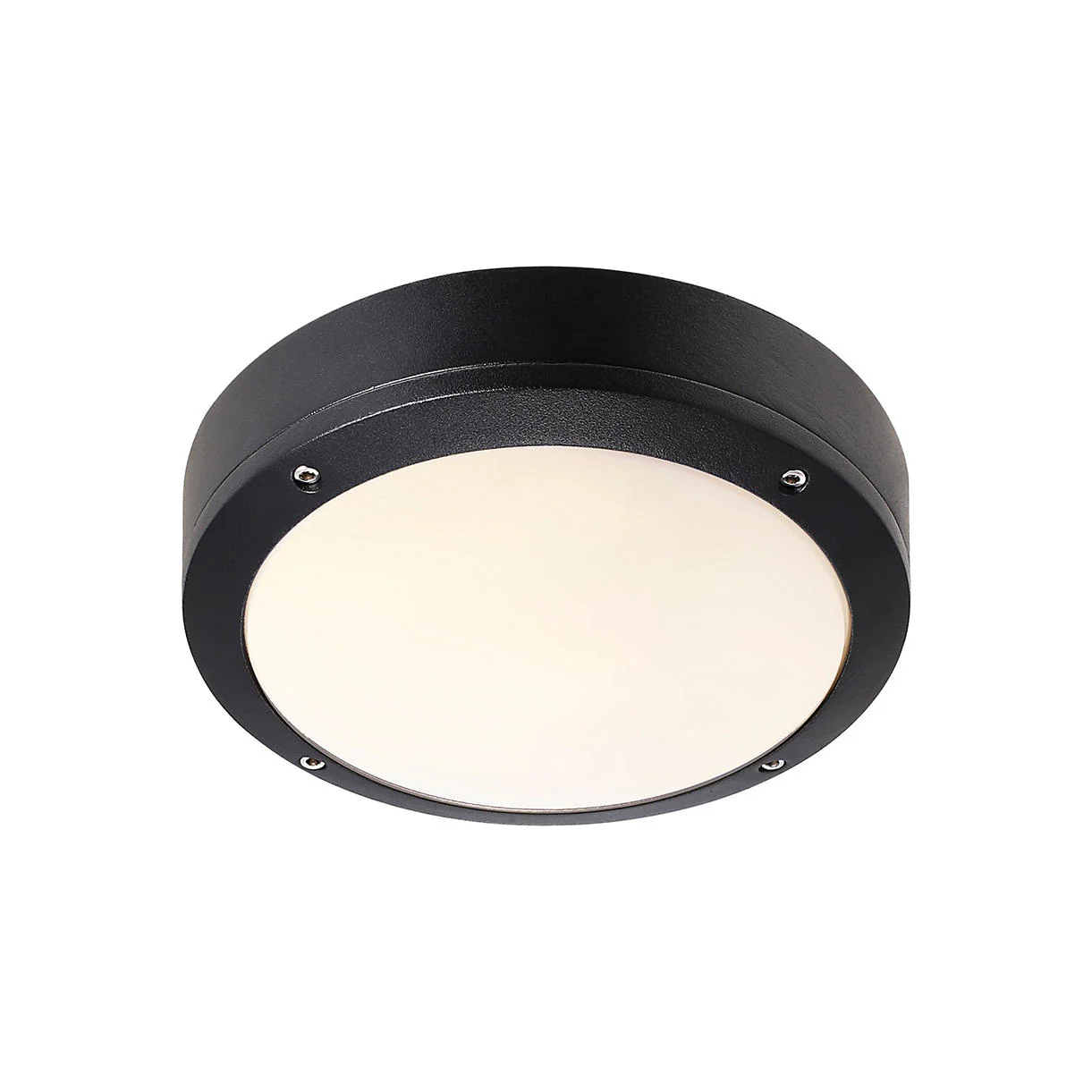 Desi Outdoor Ceiling/Wall Lighting - Image 5