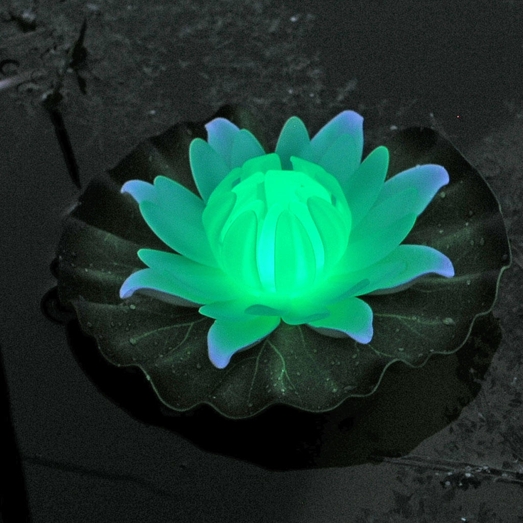 Floating Water Lily Light - Image 4