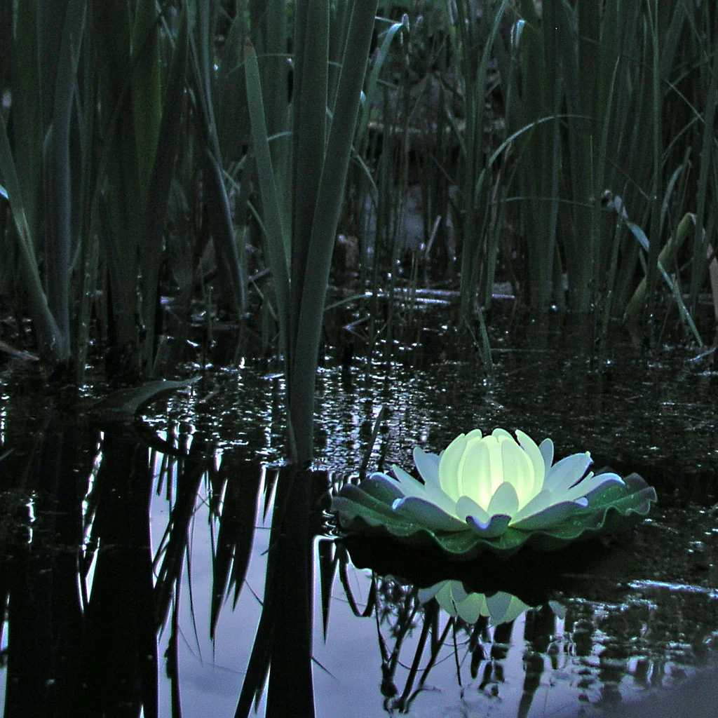 Floating Water Lily Light - Image 6