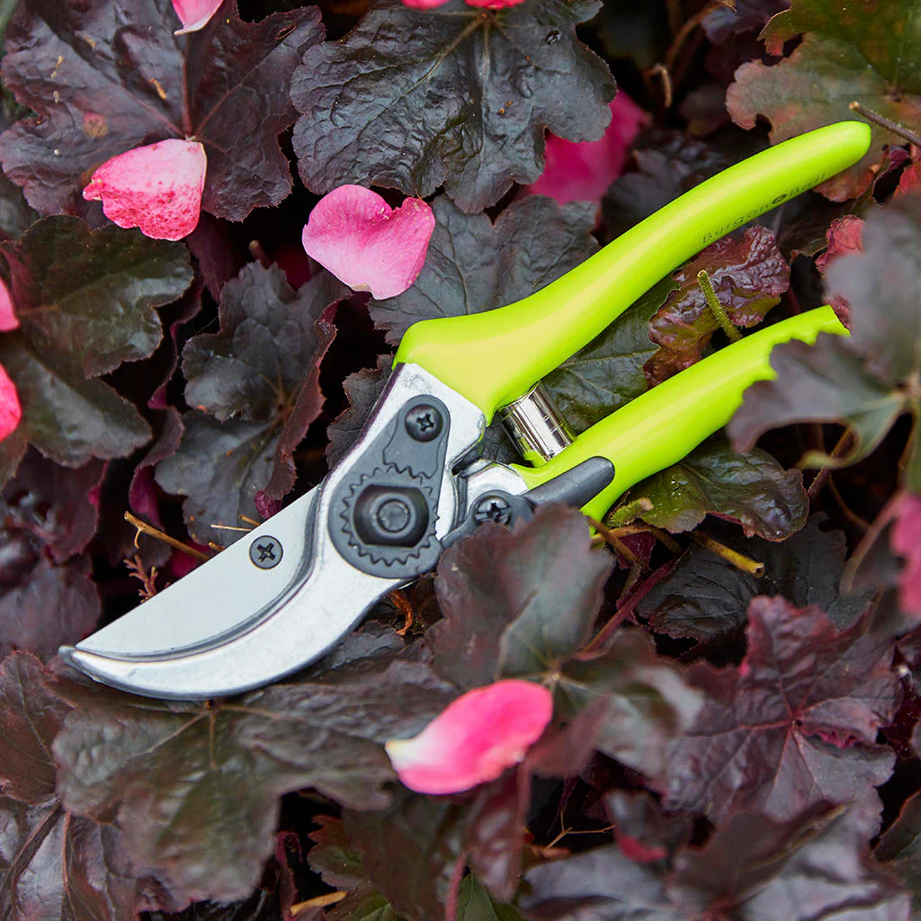 FloraBrite Bypass Secateurs - Image 3