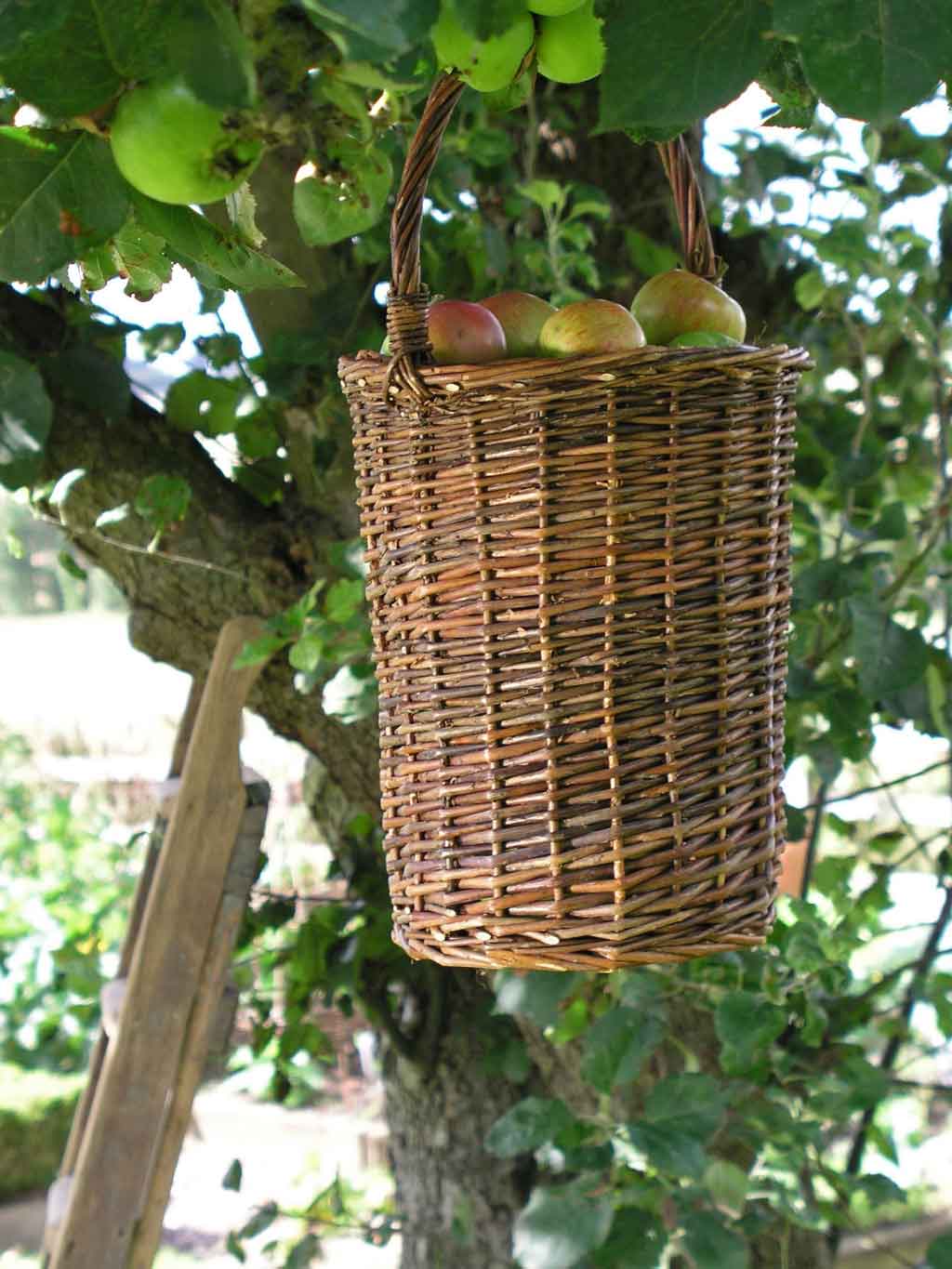 Fruit Picking Basket - Image 3