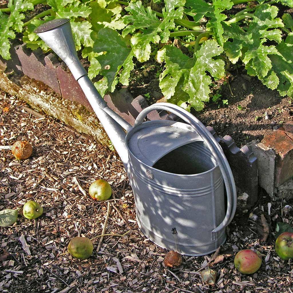 Galvanised Watering Can - Image 2