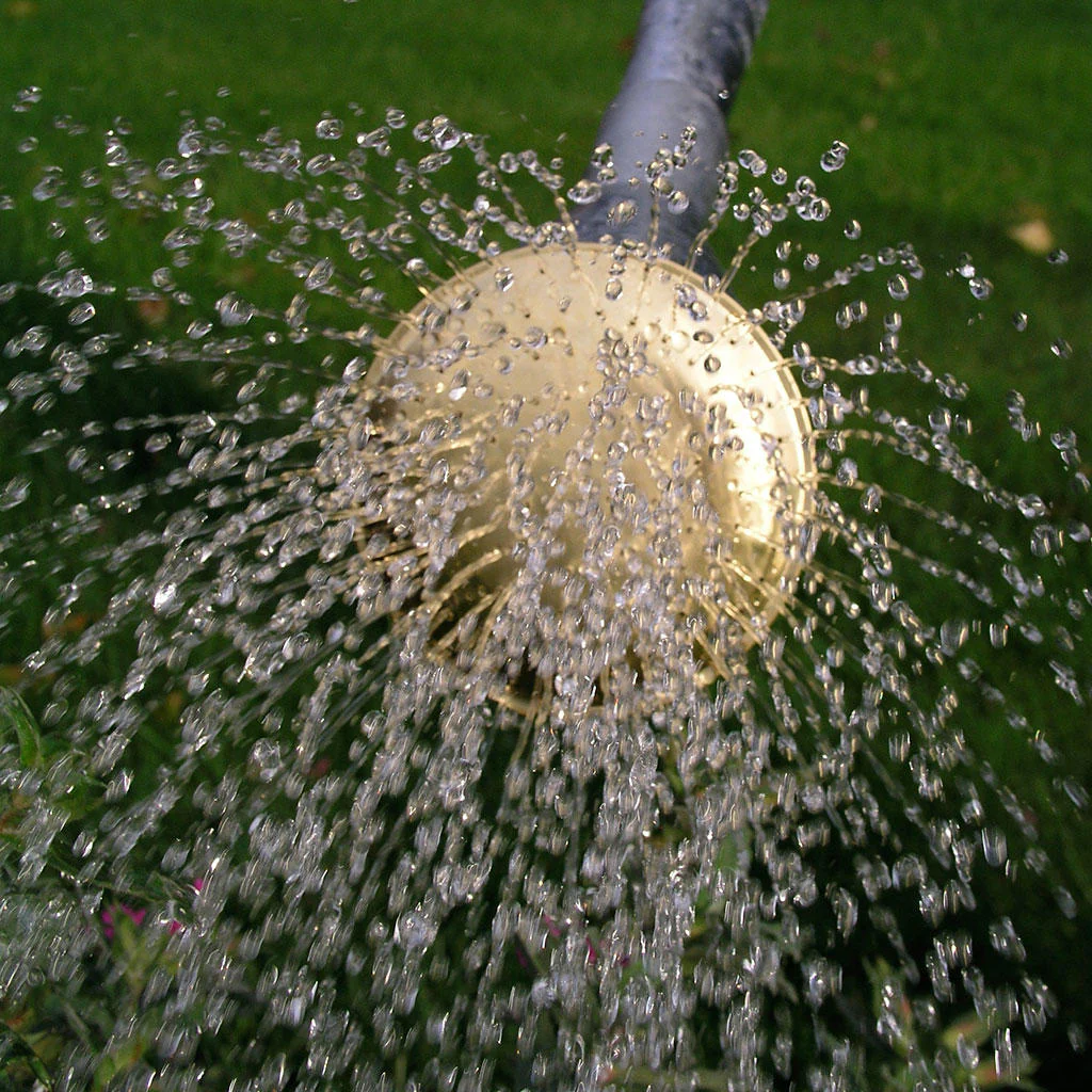 Galvanised Watering Can - Image 3