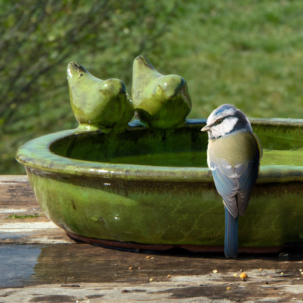 Glazed Bird Bath with Birds - Image 3