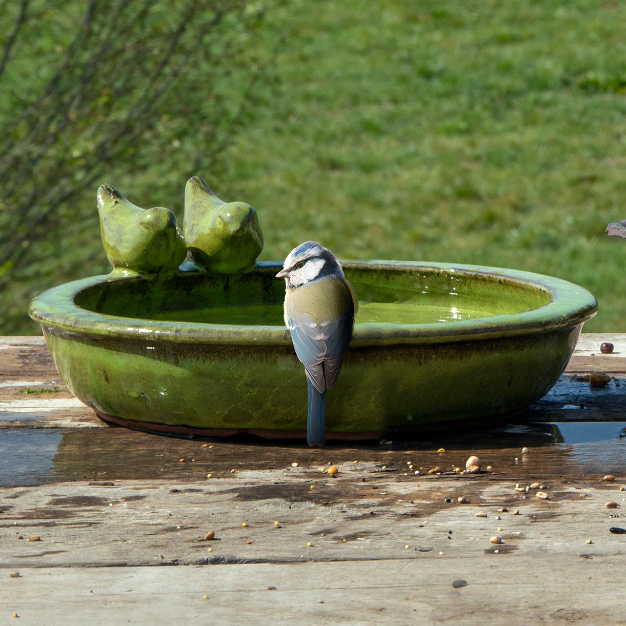 Glazed Bird Bath with Birds - Image 4
