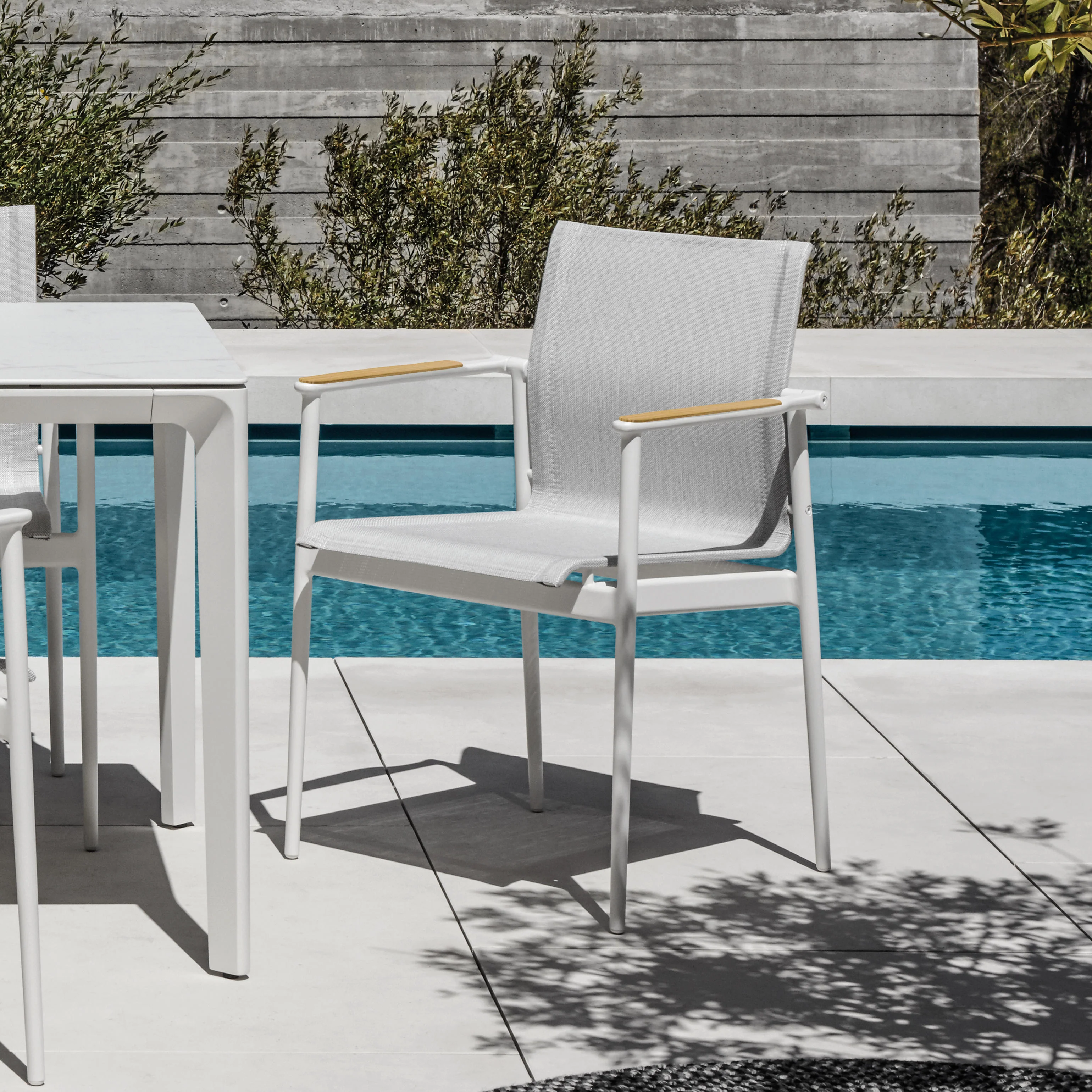 Gloster 180 Dining Chairs with Teak Arms - Image 2