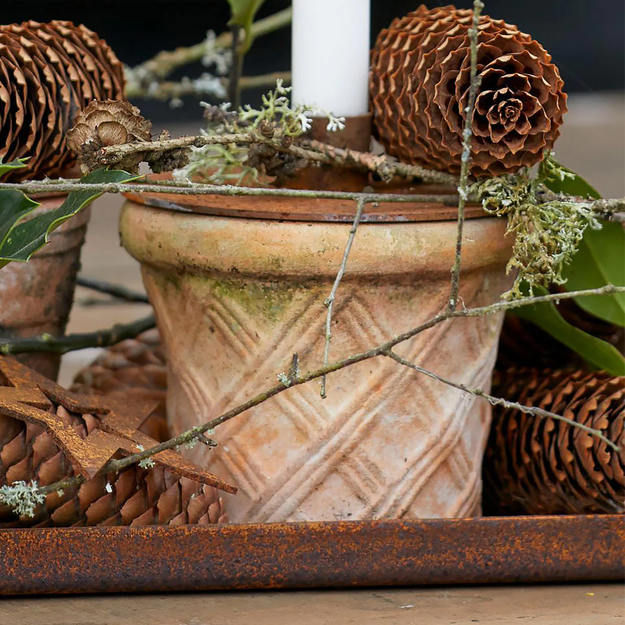 Harlequin Natural Clay Plant Pot - Image 4