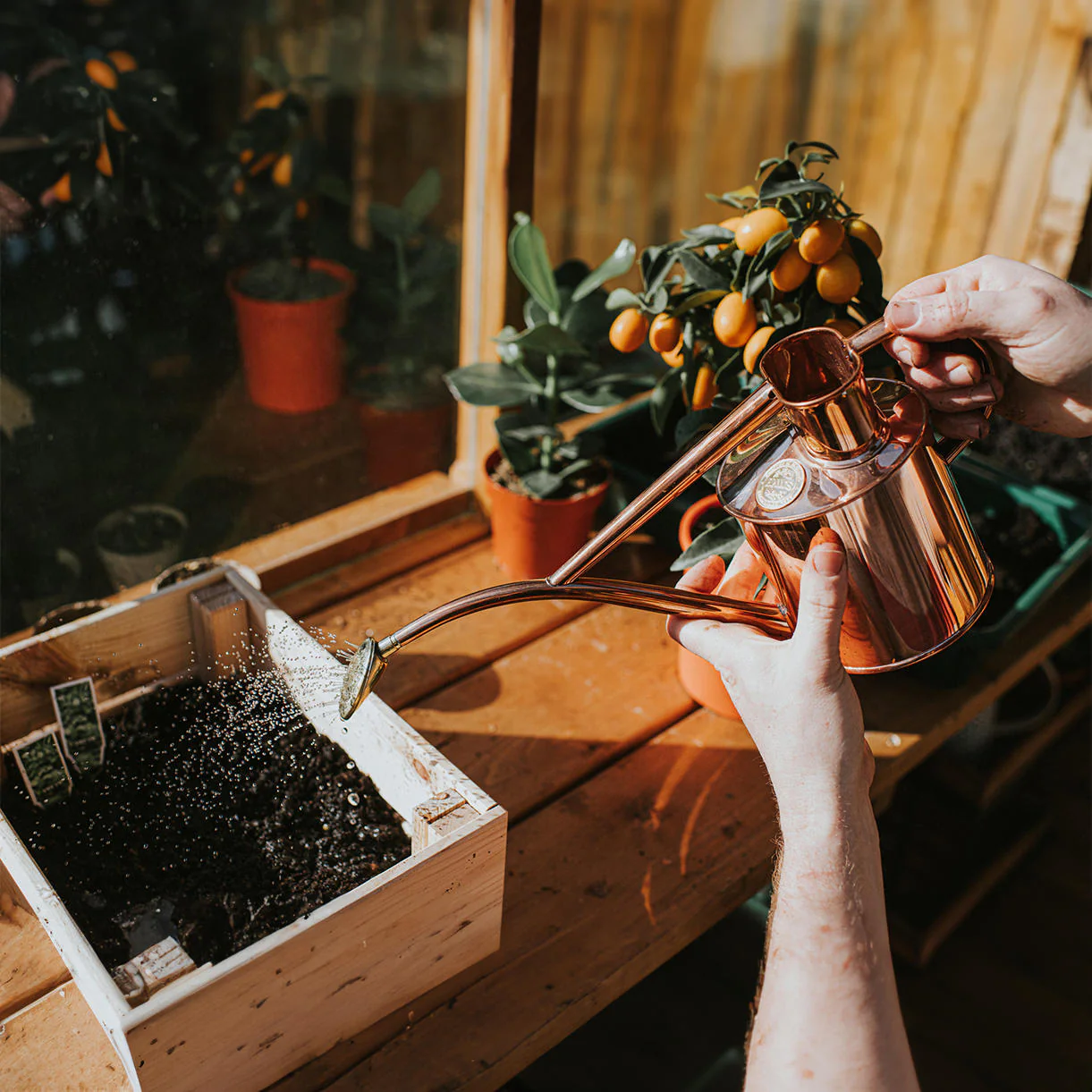 Haws Copper Indoor Watering Can - Image 4