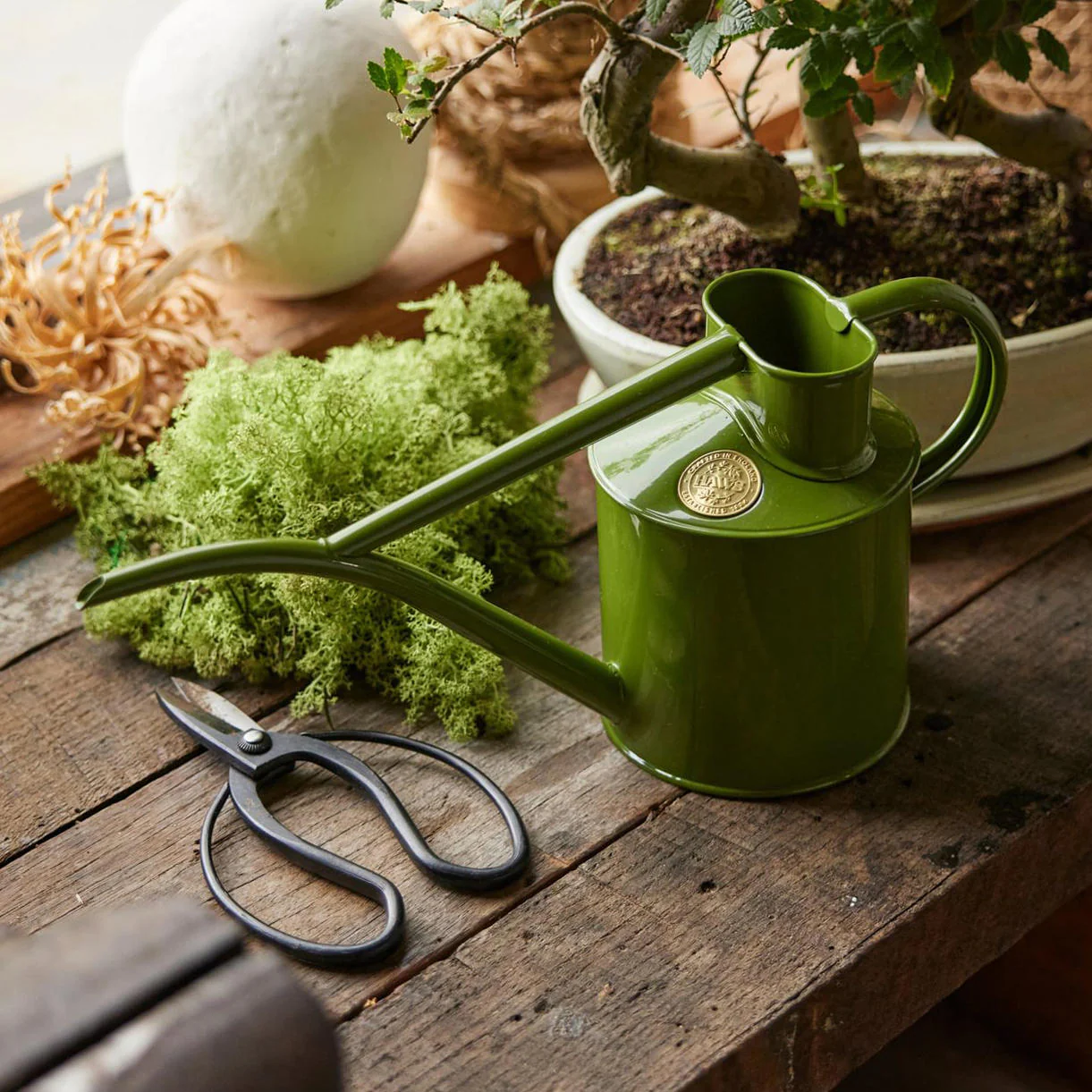 Haws Fazeley Flow Indoor Watering Can - 2 pint - Image 3