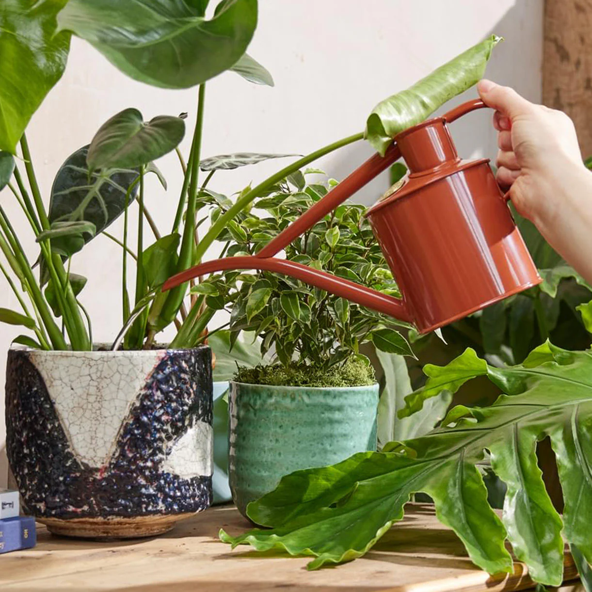 Haws Fazeley Flow Indoor Watering Can - 2 pint - Image 5