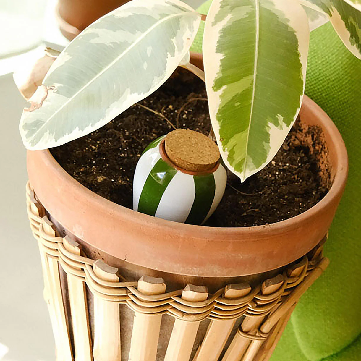 Indoor Olla Watering Pot - Image 4