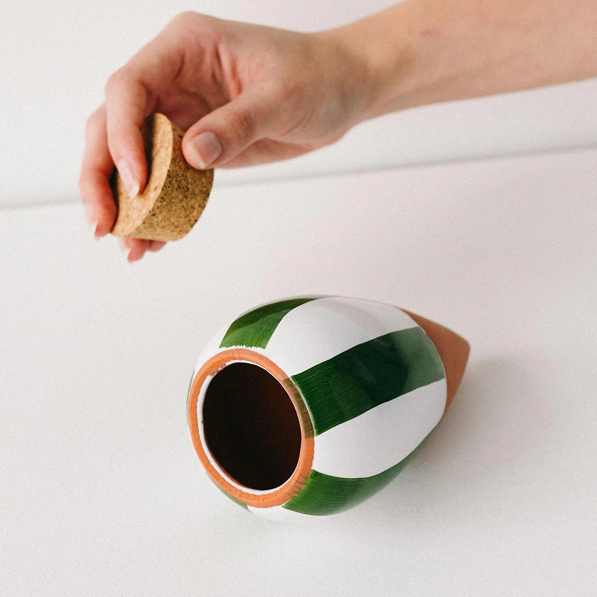 Indoor Olla Watering Pot - Image 5