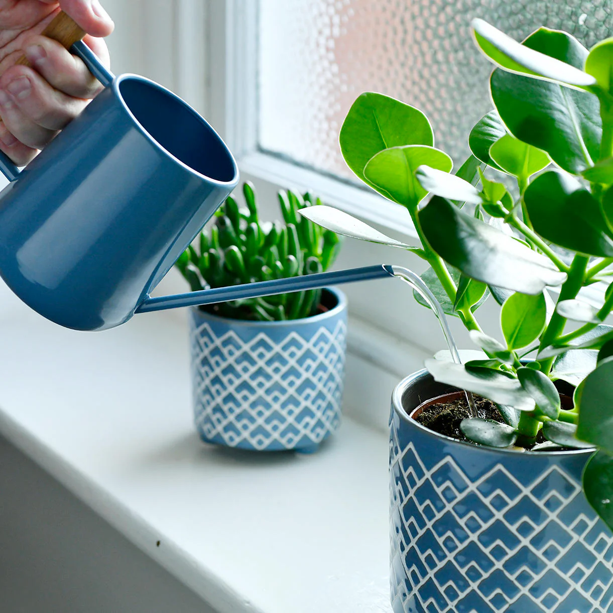 Indoor Urban Beech Handle Watering Can - Image 3