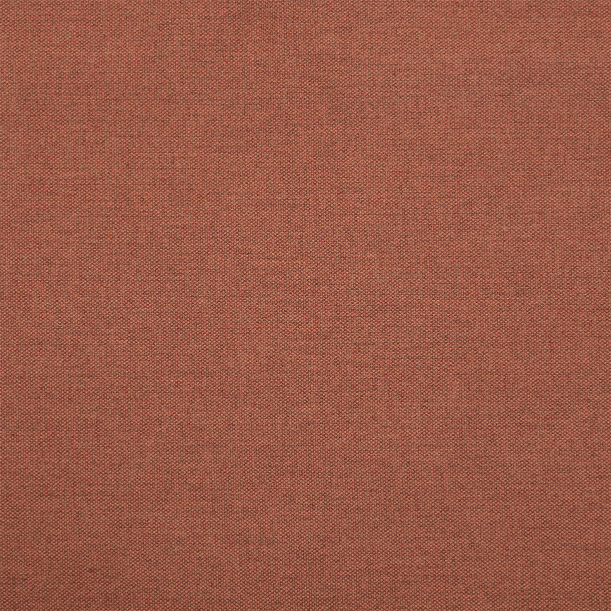 Kay Lounge Chair Back Cushion - Image 4