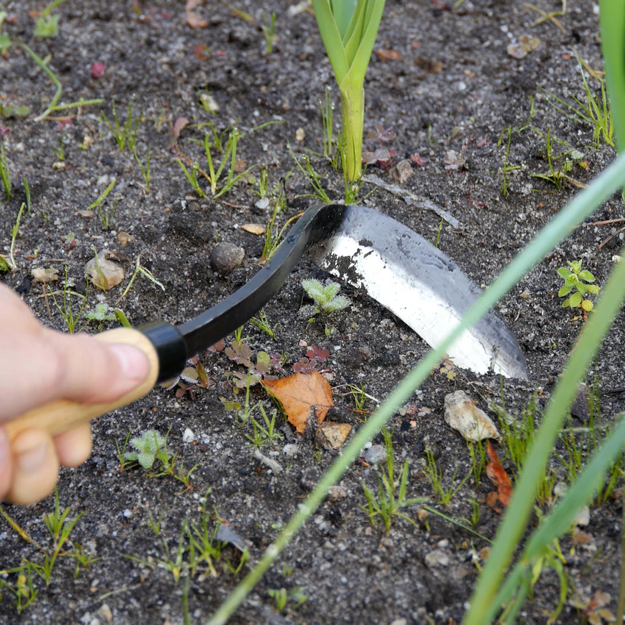 Left Handed Razor Hoe - Image 2