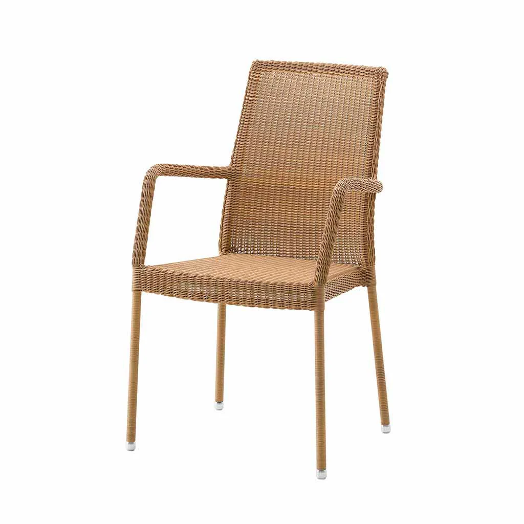 Newman Dining Armchair - Image 3