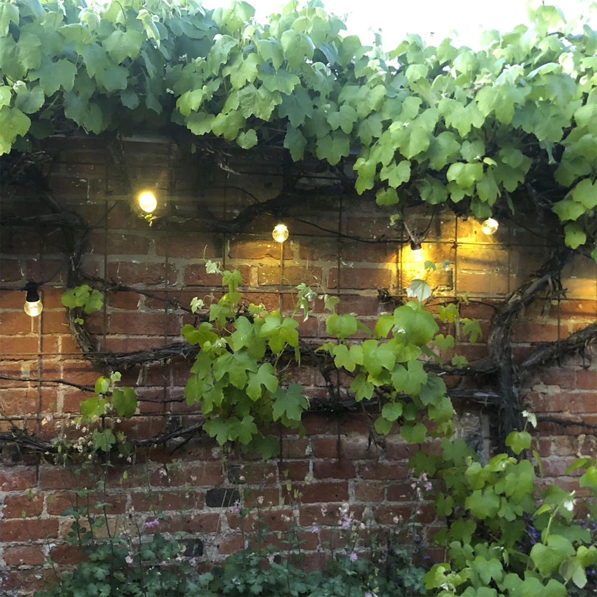 Outdoor Extendable Clear LED Festoon Lights Sets - Image 2