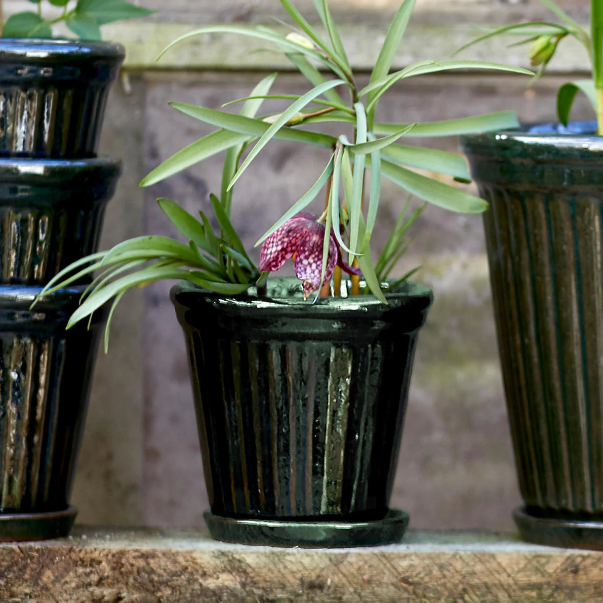 Ribbed Glazed Plant Pot - Image 3