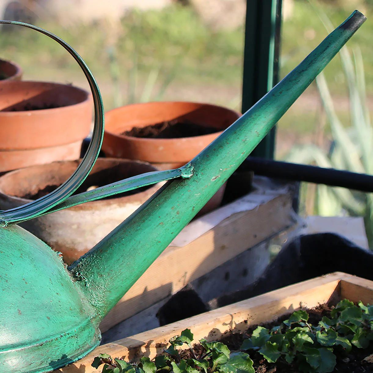 Rustic Painted Greenhouse Watering Can - Image 3