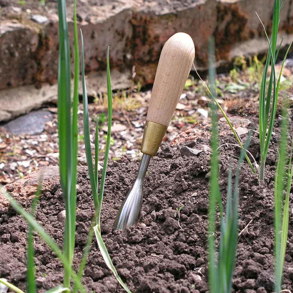 Sophie Conran Dibber - Image 3