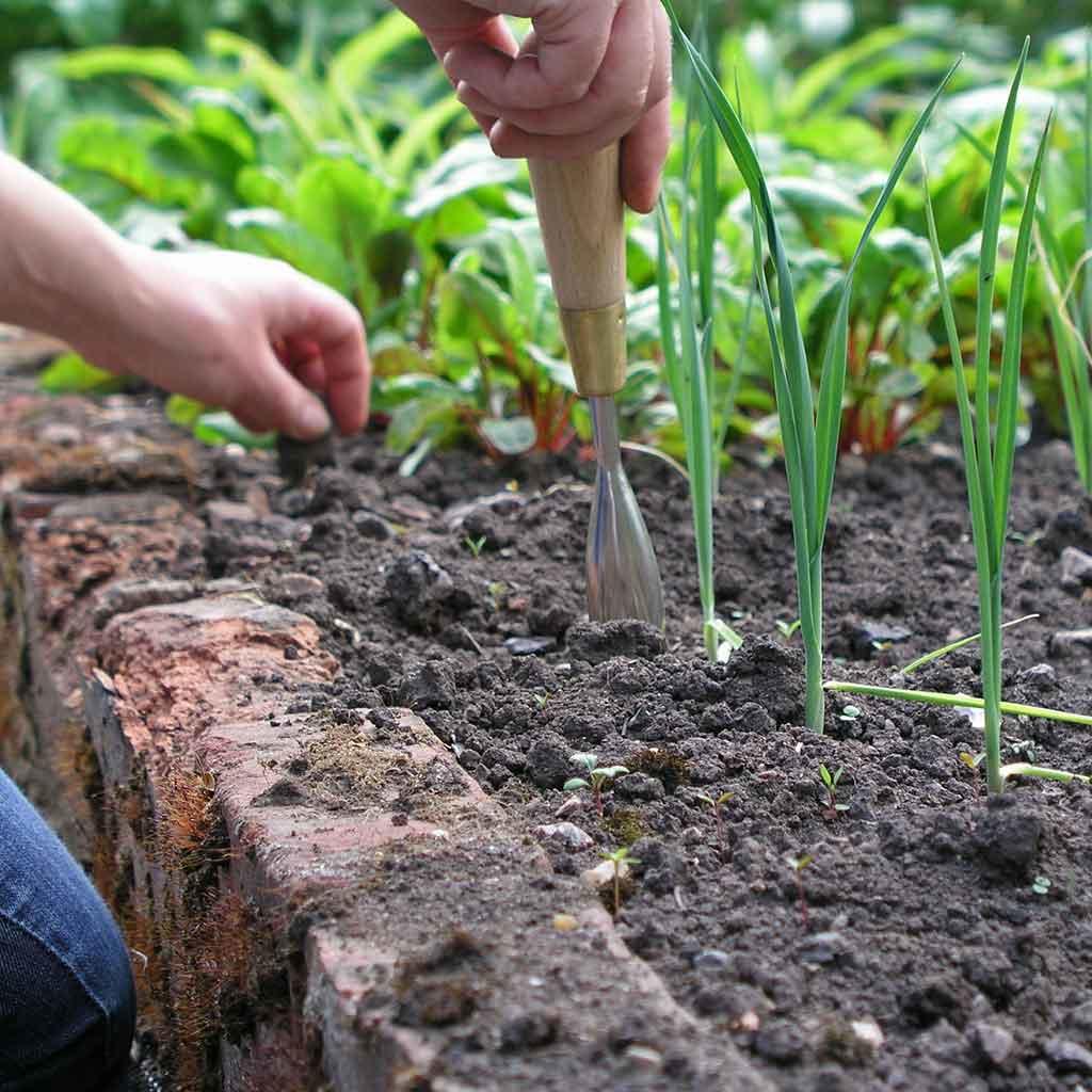 Sophie Conran Dibber - Image 4