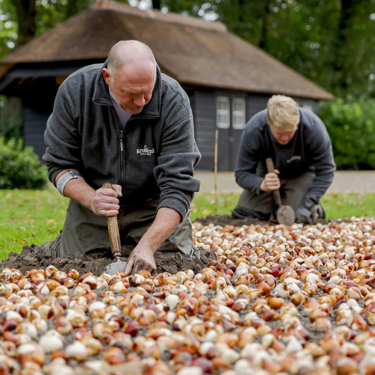 Sneeboer Old Dutch Style Planting Trowel - Image 4