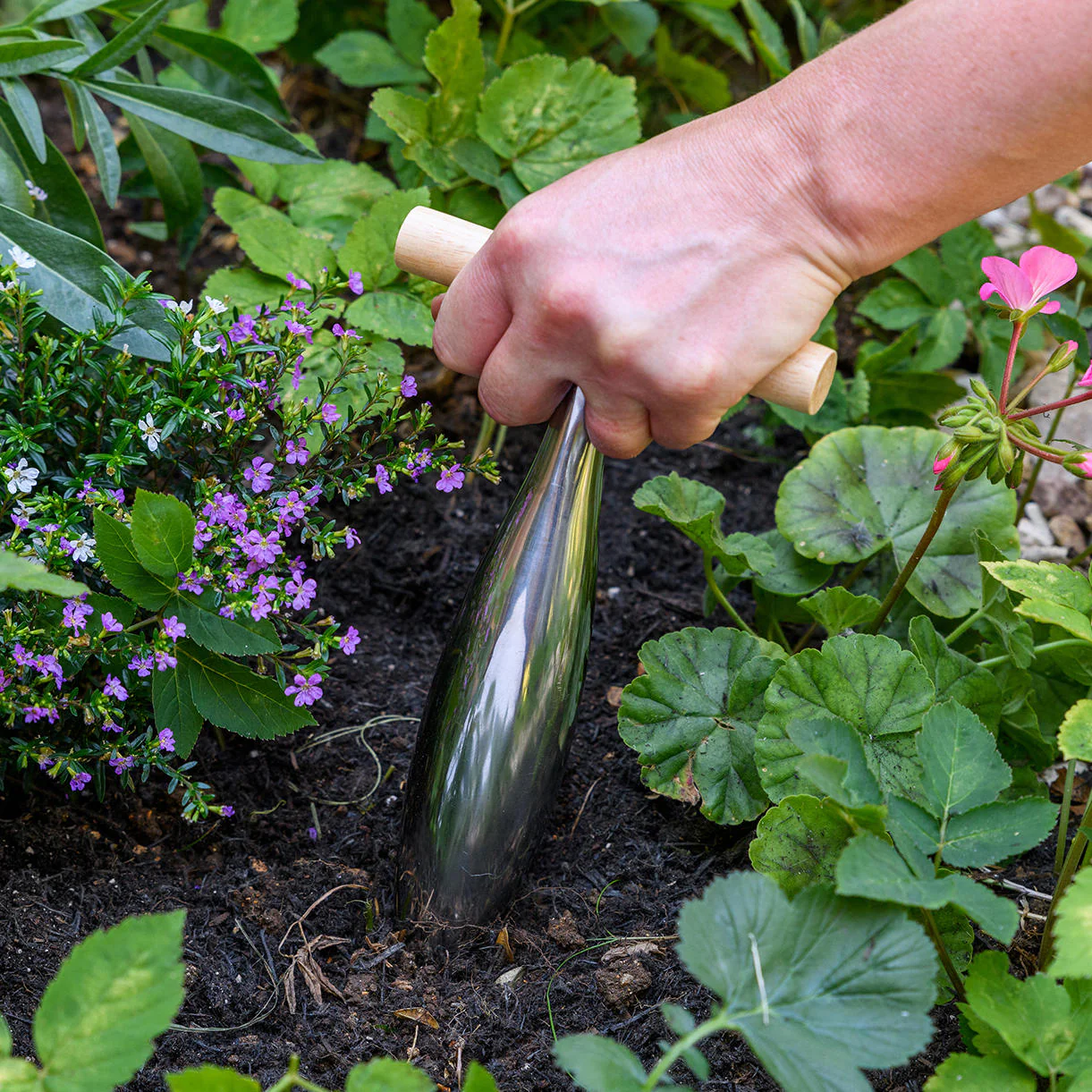 Stainless Steel Dibber - Image 3