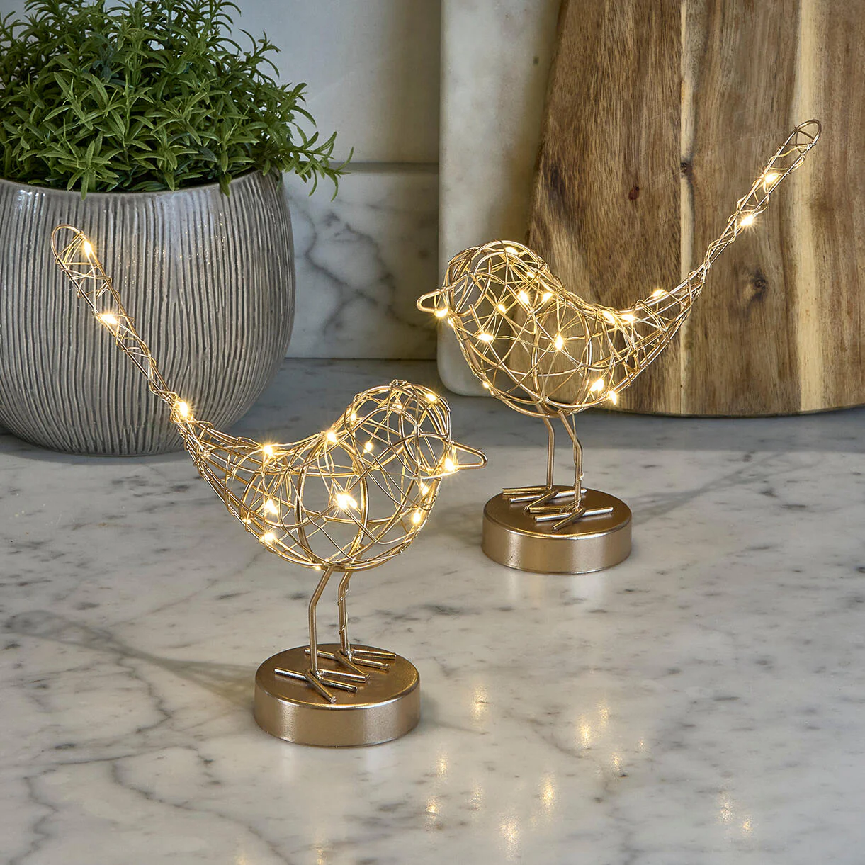 Table Robin LED Light - Image 4