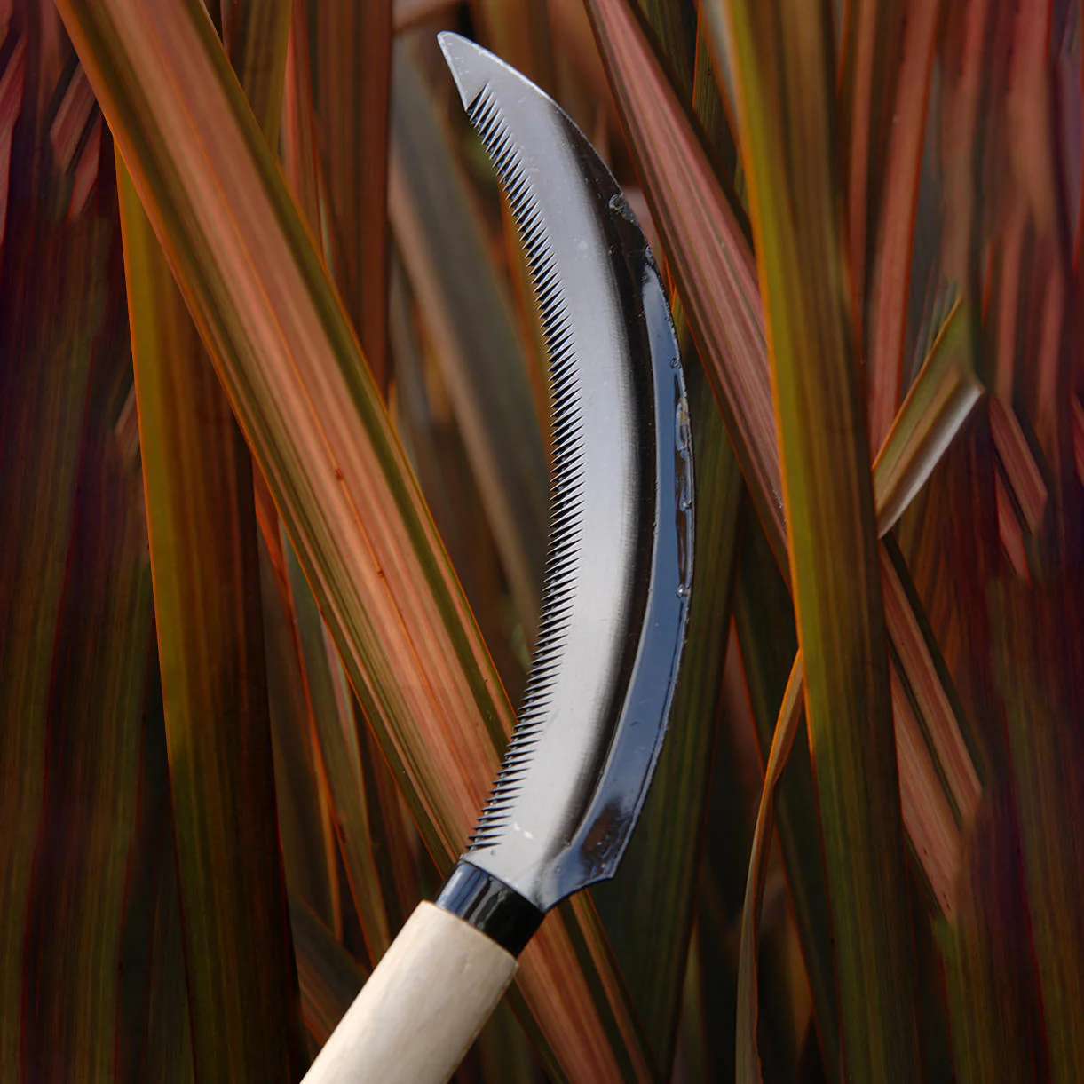 Vegetable Harvesting Sickle - Image 3