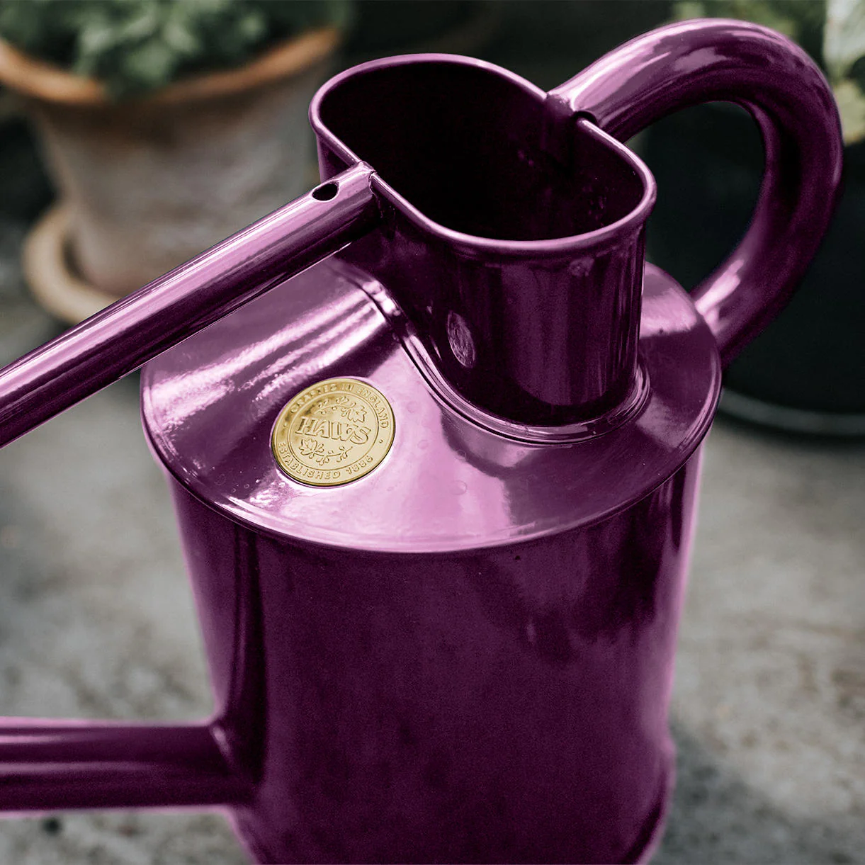 Haws Violet Royale Professional Long Reach Watering Can - Image 4