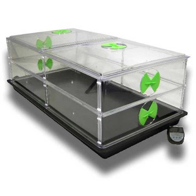 Vitopod Propagator - Image 3