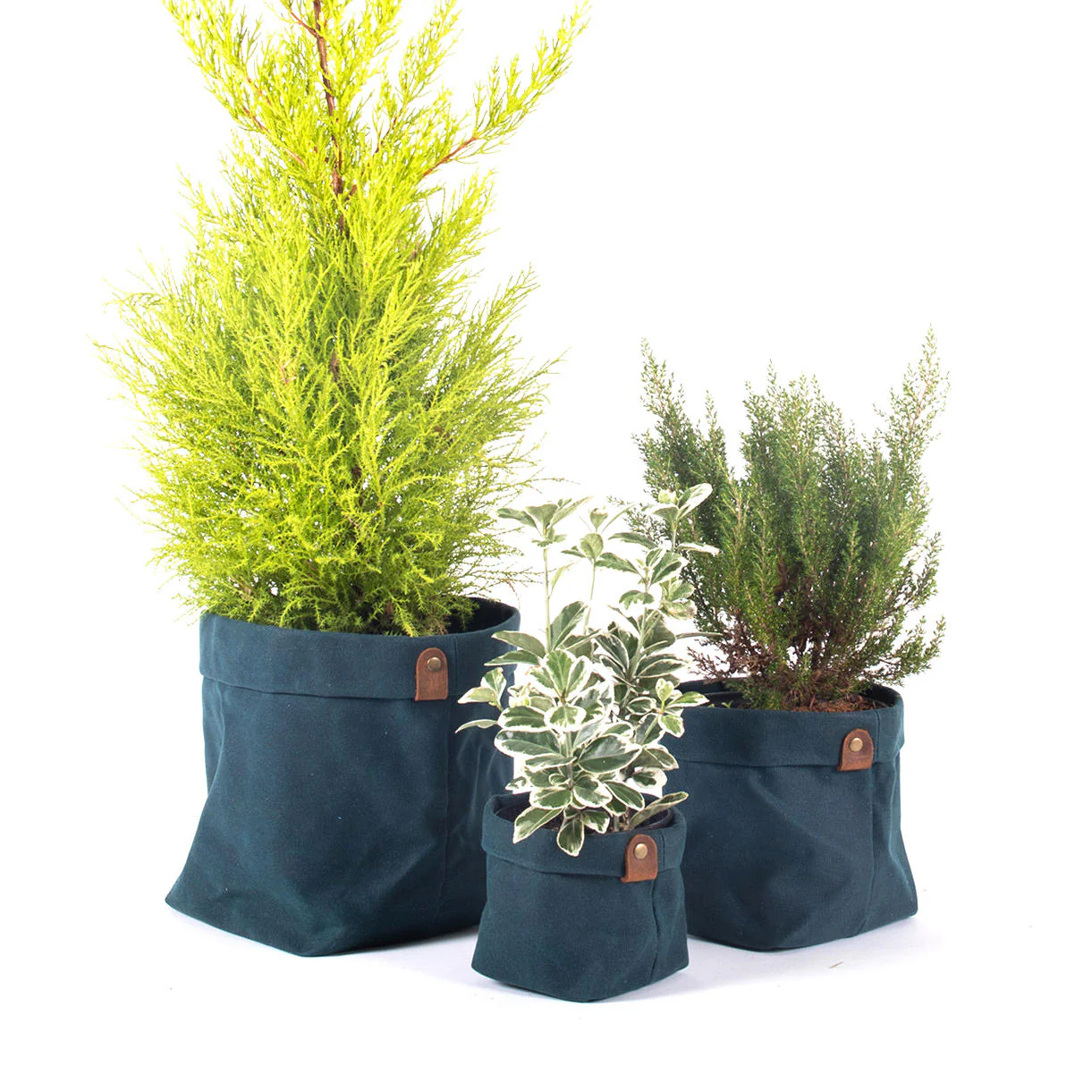 Waxed Canvas Cache Pot - Image 3